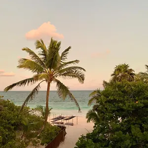 Hotel Libelula Beachfront ****